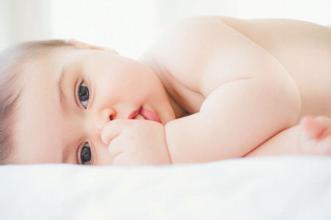 胚胎实验室
